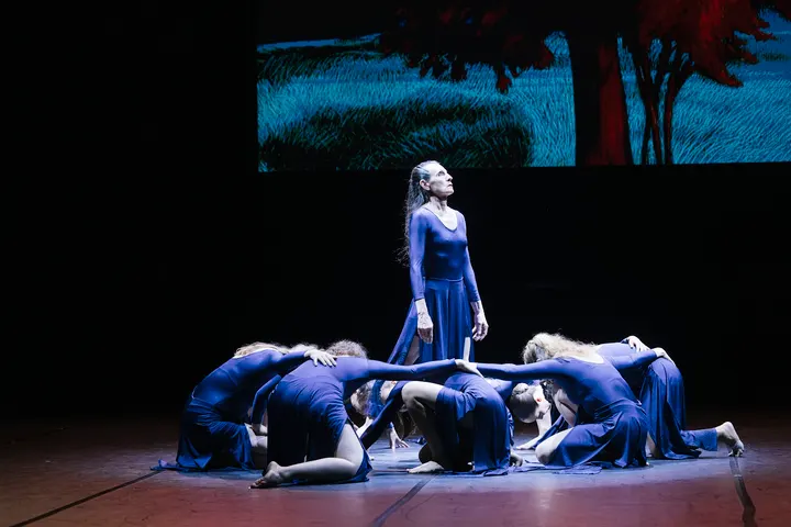 Accademia — Danse à 4e Arrondissement, Marseille