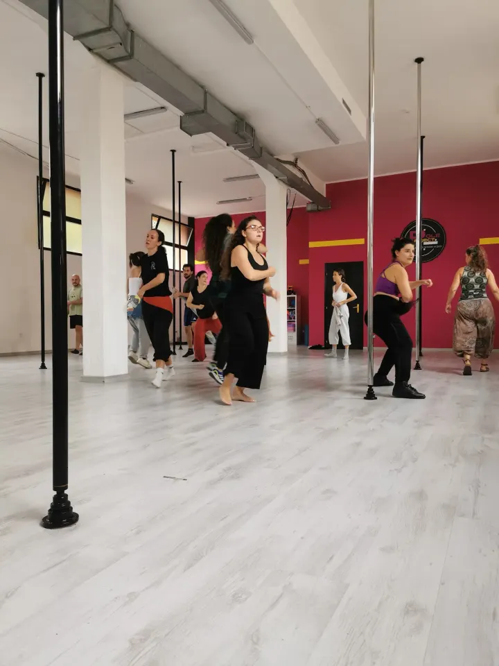 Pole Project Aerial ASD — pole dance-studio a Zola Predosa — 2