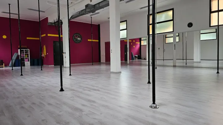 Pole Project Aerial ASD — pole dance-studio a Zola Predosa — 3