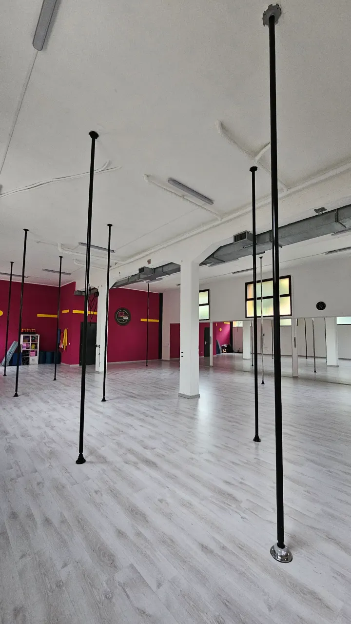Pole Project Aerial ASD — pole dance-studio a Zola Predosa — 3