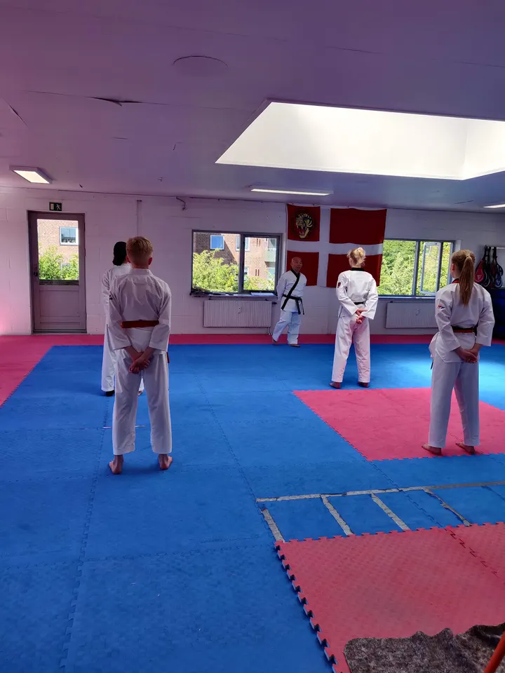 Hwarang Taekwondo Klub Rødovre — Kampsport i Rødovre