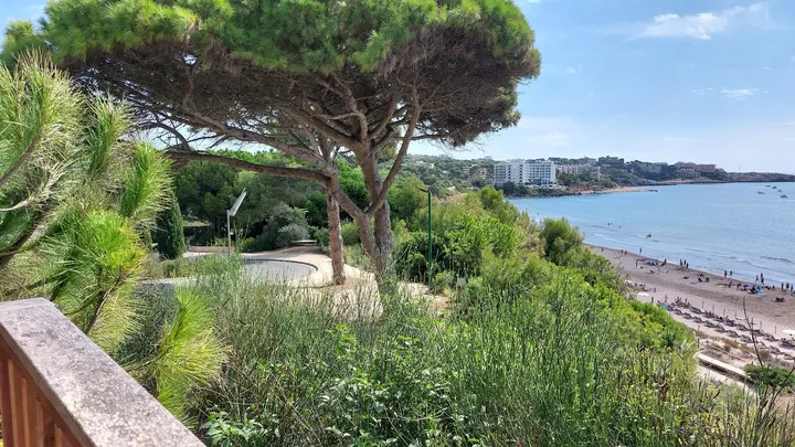 Parque de calistenia — calisthenics-studio en Tarragona — 3
