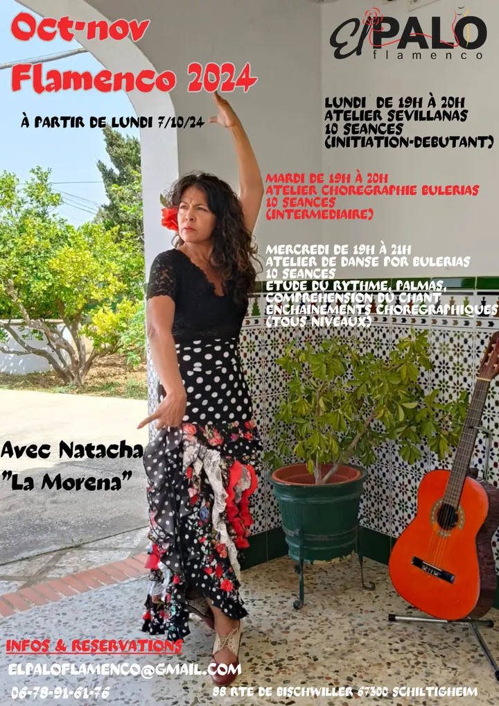 El Palo Flamenco — danse-studio à Schiltigheim, Strasbourg — 2