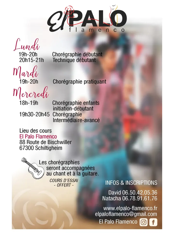 El Palo Flamenco — danse-studio à Strasbourg — 4