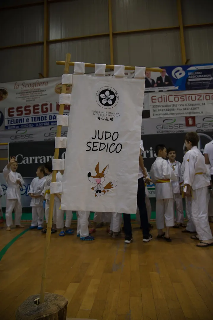 Doushin Dojo — Arti marziali a Meli, Sedico