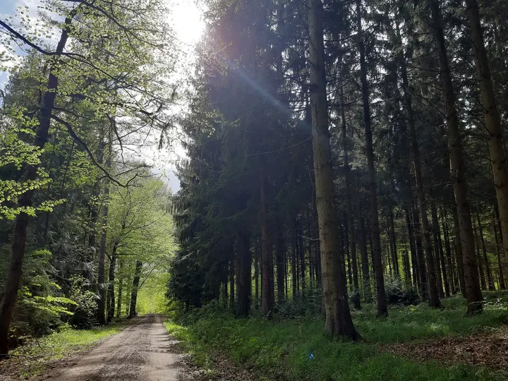 Uhingen  — Reformer Pilates in Uhingen
