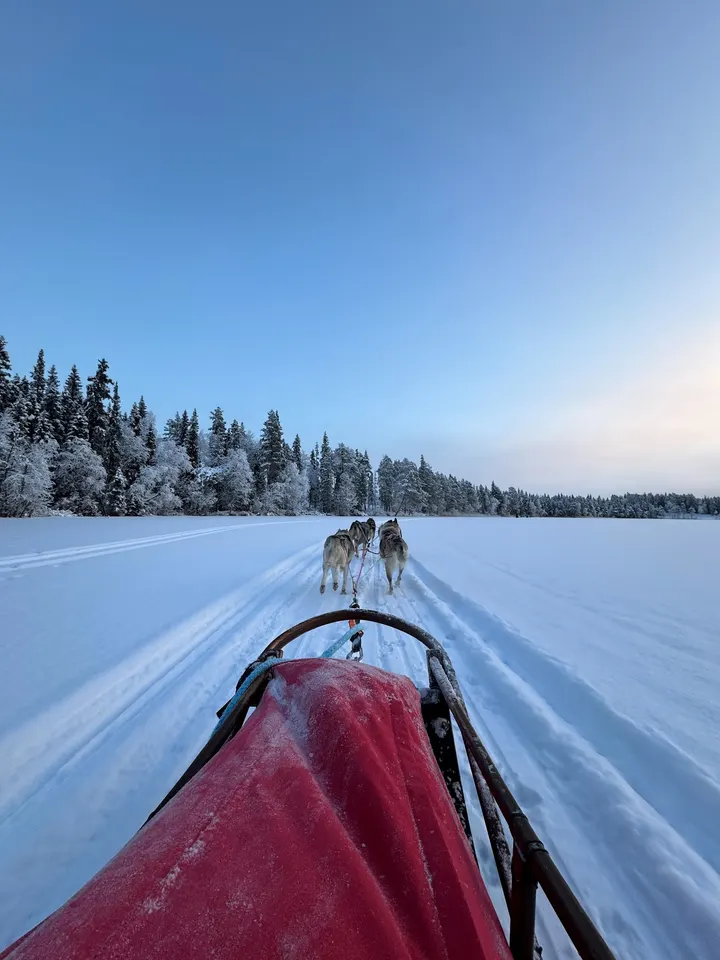 Husky & Yoga Nature — jooga-studio – Rovaniemi — 5