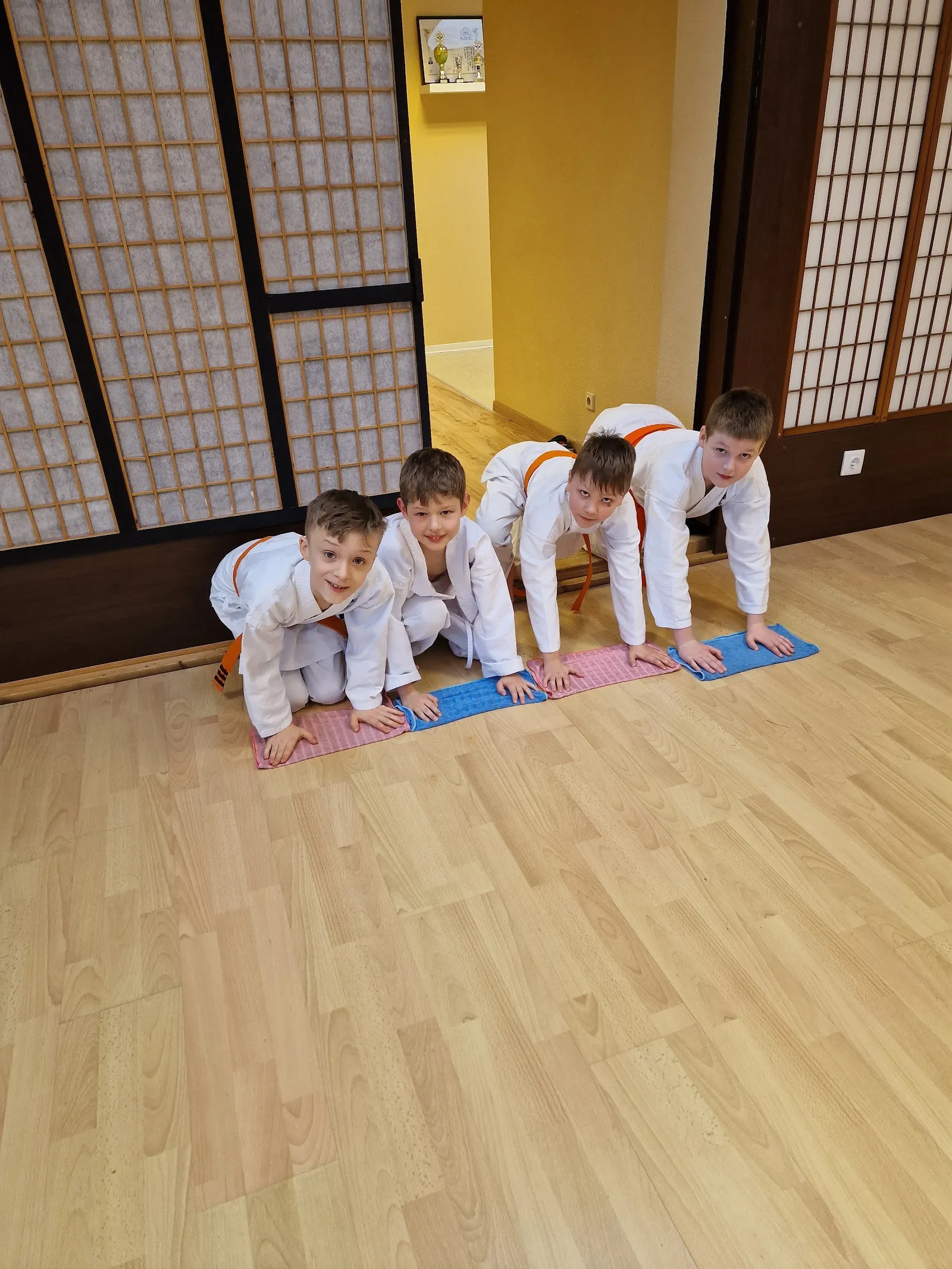 Kyokushinkai Karateschule Hamburg-Bergedorf — kampfsport-studio in Hamburg — 3