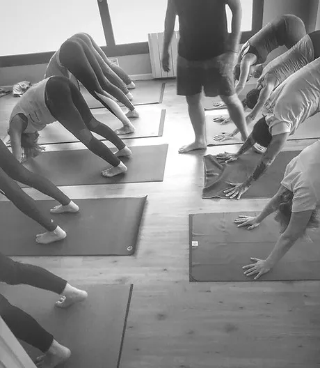 Surya Yoga Shala — yoga-studio i La Corredoria, Oviedo — bild 2