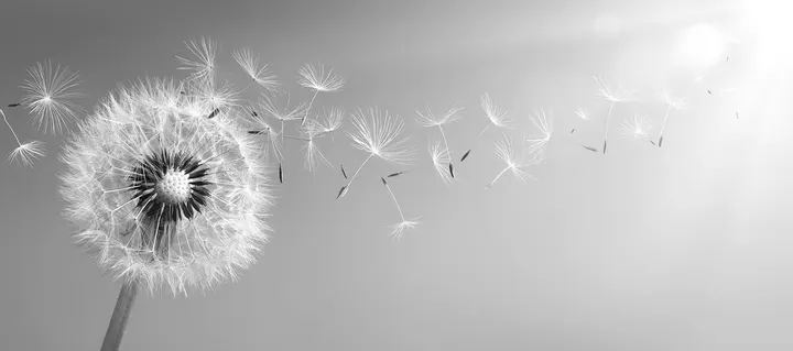 Atemtherapie Lauer — breathwork-studio in Ostend, Frankfurt am Main — 2