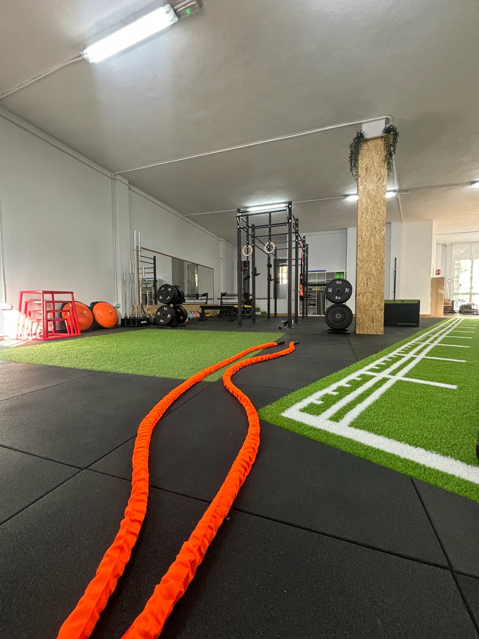 Sinapsis Centro de Entrenamiento — entrenamiento personal-studio en Tejina — 4