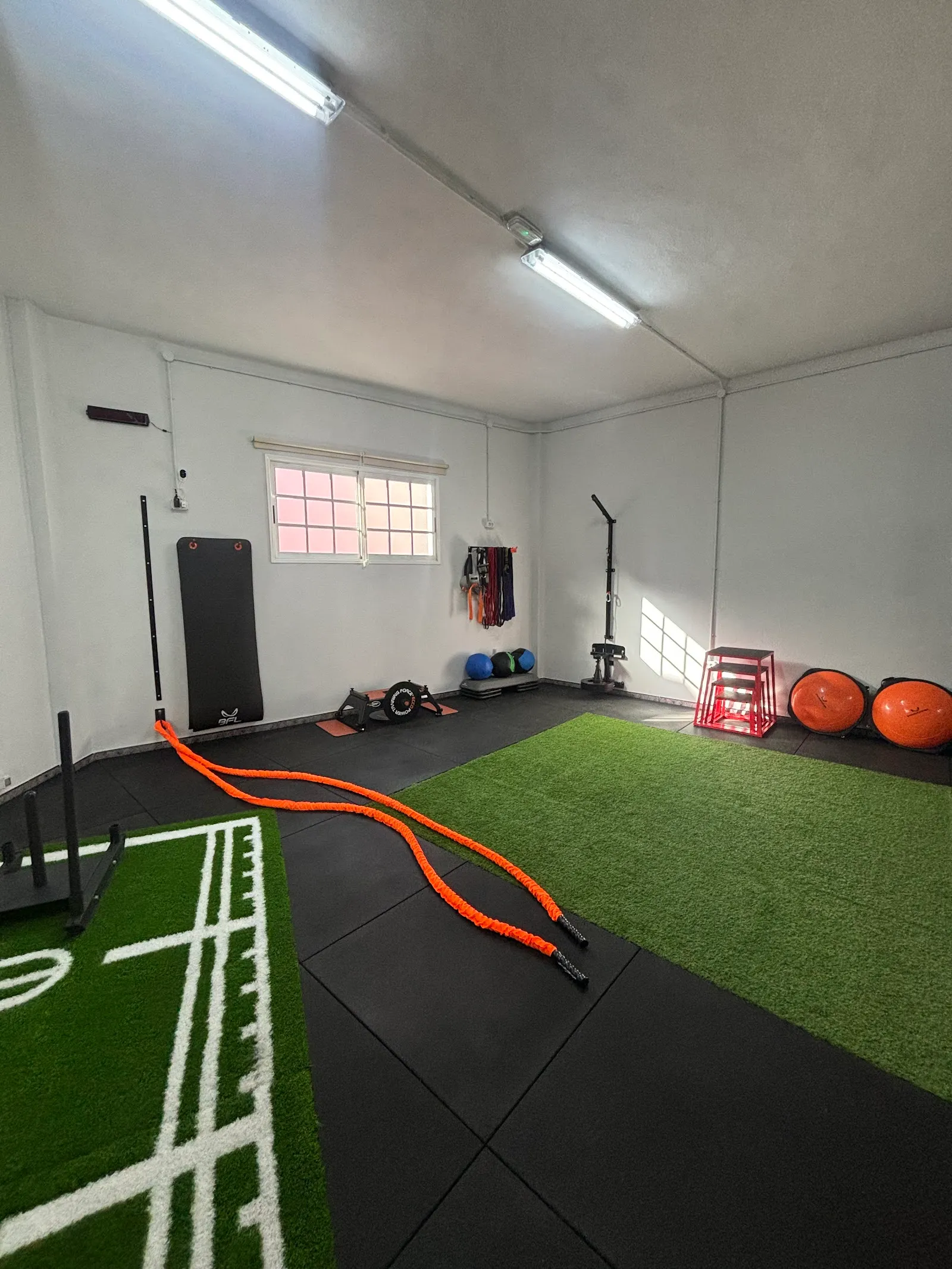 Sinapsis Centro de Entrenamiento — entrenamiento personal-studio en Tejina — 5