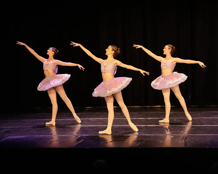 Danzare Ballet Escuela De Danza — baile-studio en Salamanca, Madrid — 3