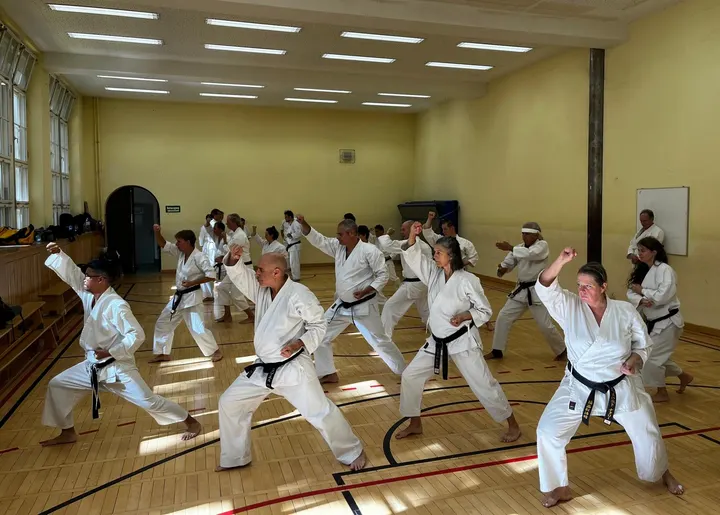 Shotokan Karate Utrecht — Vechtsport in Leidsche Rijn, Utrecht