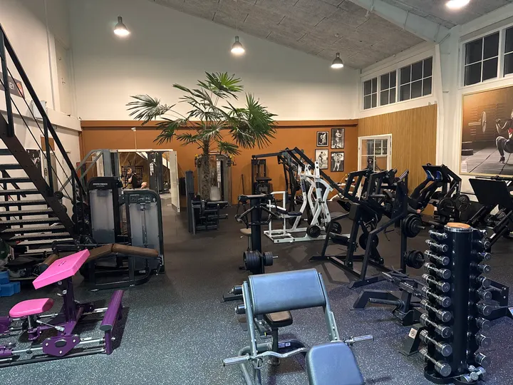 Fitness 8800 Engelsborg — træningsstudio i Viborg — 3