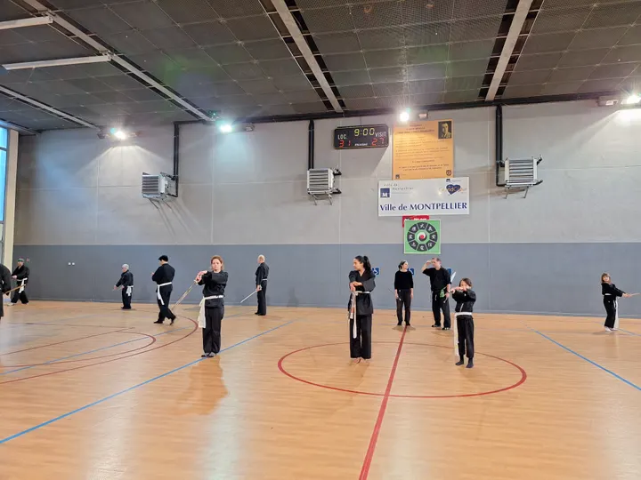 Chấn Điện Võ Đường Martiaux vietnamiens — arts martiaux-studio à Montpellier — 3