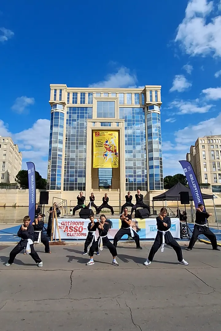 Chấn Điện Võ Đường Martiaux vietnamiens — arts martiaux-studio à Montpellier — 4
