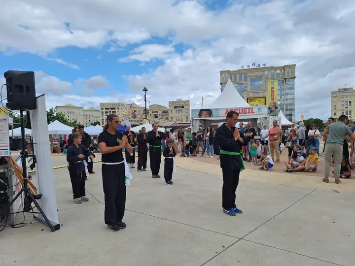 Chấn Điện Võ Đường Martiaux vietnamiens — arts martiaux-studio à Montpellier — 5