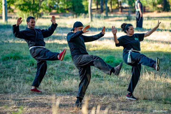 Chấn Điện Võ Đường Martiaux vietnamiens — arts martiaux-studio à Montpellier — 6