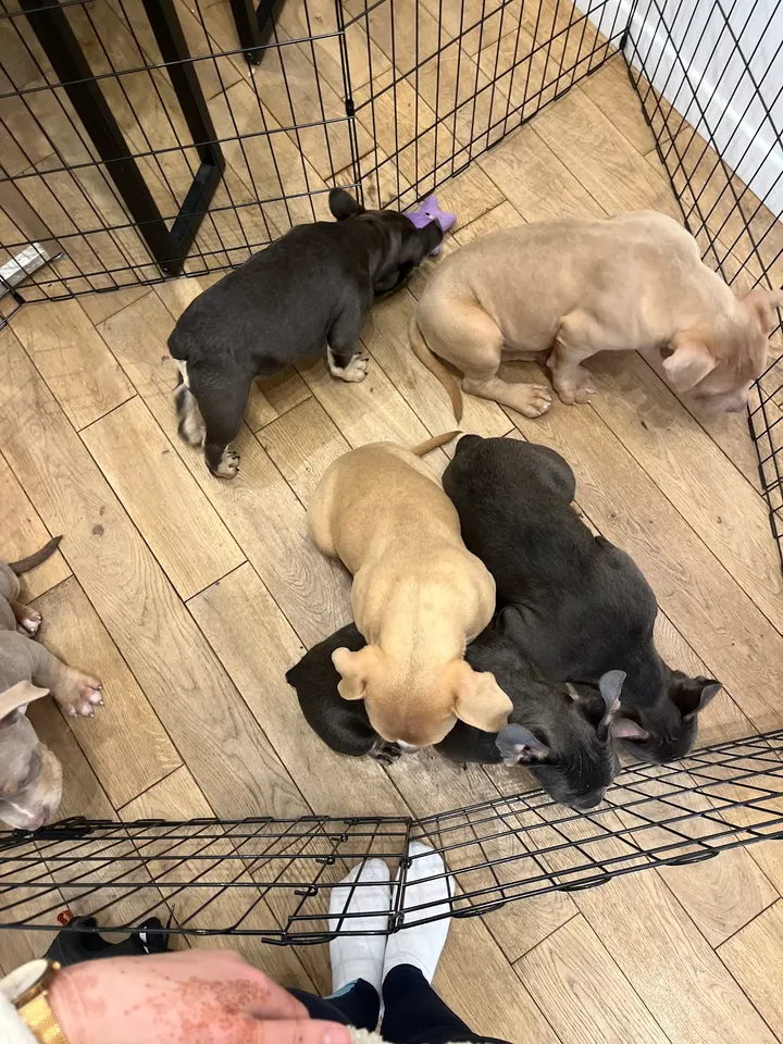Pawsitive Yoga — yoga-studio à Paris — 4