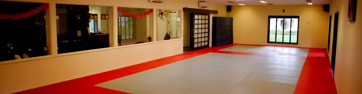 Judovereniging Hashi — Vechtsport in IJsselmonde, Rotterdam