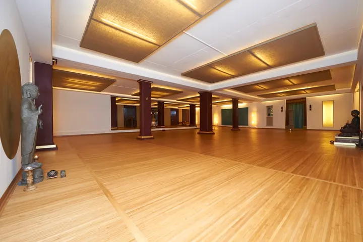 Narada Yoga Integrale Bewusst-Seins-Schulung Ralph Otto — yoga-studio in Sieglitzhof, Erlangen — 3