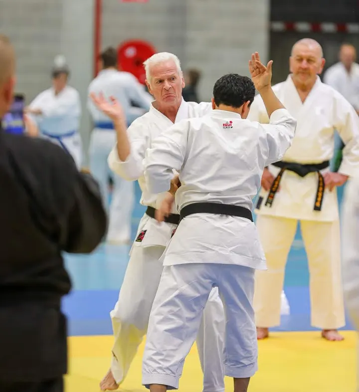 Budokan het Gooi — Vechtsport in Hilversumse Meent, Hilversum