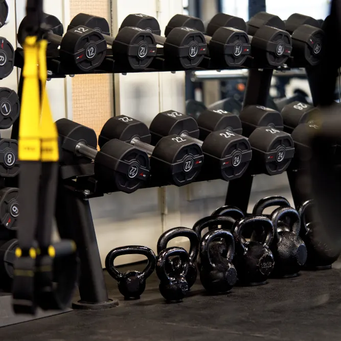 Tri-PT Studio — personal training-studio in Voorschoten — 4