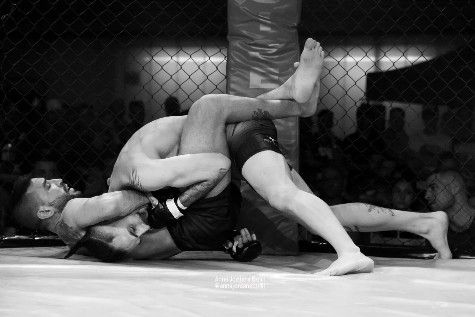 LION FIGHTERS MMA - Artes Marciales Mixtas, Boxeo, Kick boxing, Grappling, Defensa personal. — kampsport-studio i Gavà — bild 2