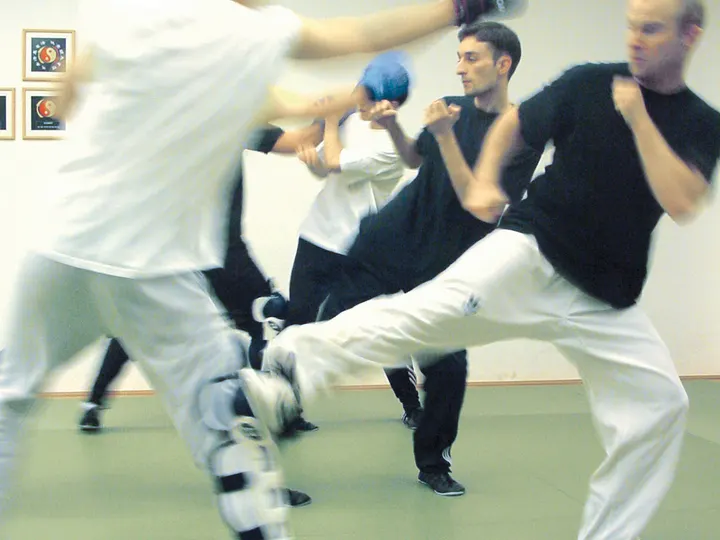 FUDOCHI-DOJO — kampfsport-studio in Biebrich, Wiesbaden — 2