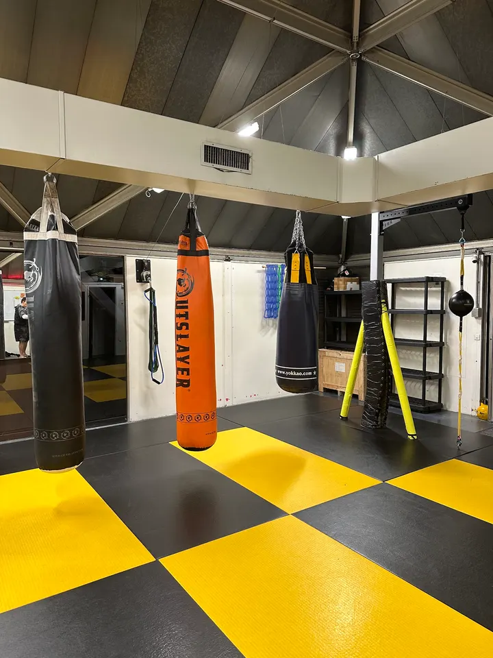 ANNECY BEST BOXING — Arts martiaux à Seynod, Annecy