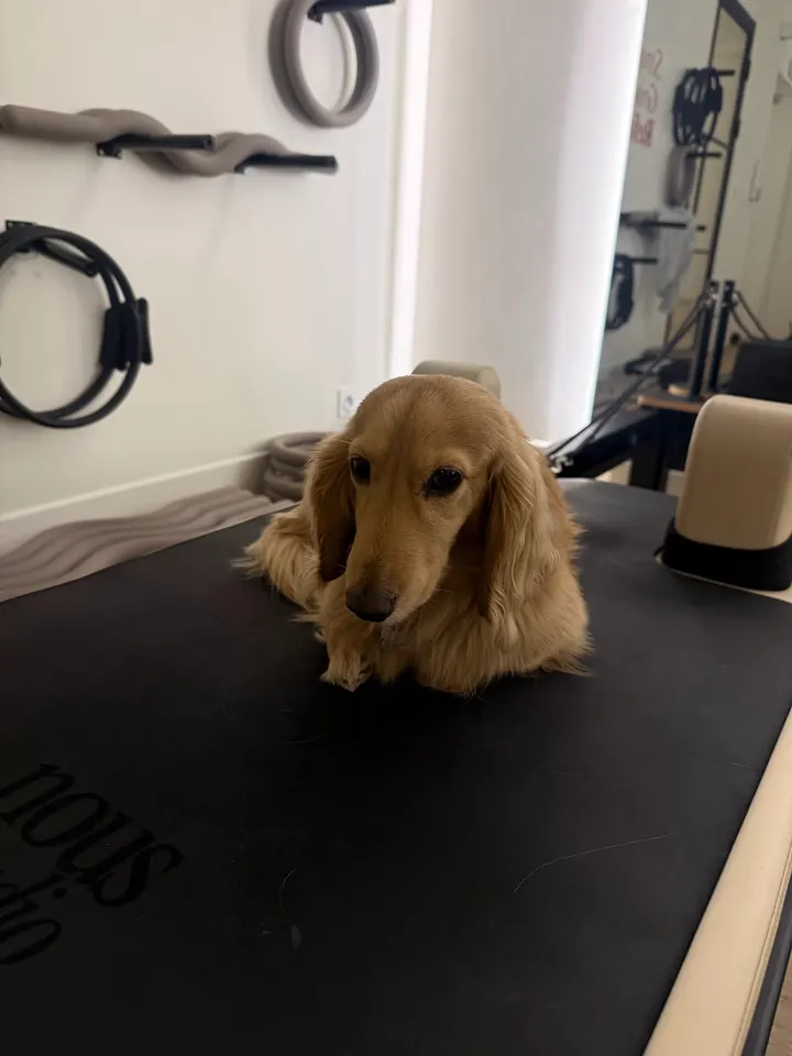 Nous Studio — pilates reformer-studio à Charmettes, Villeurbanne — 3