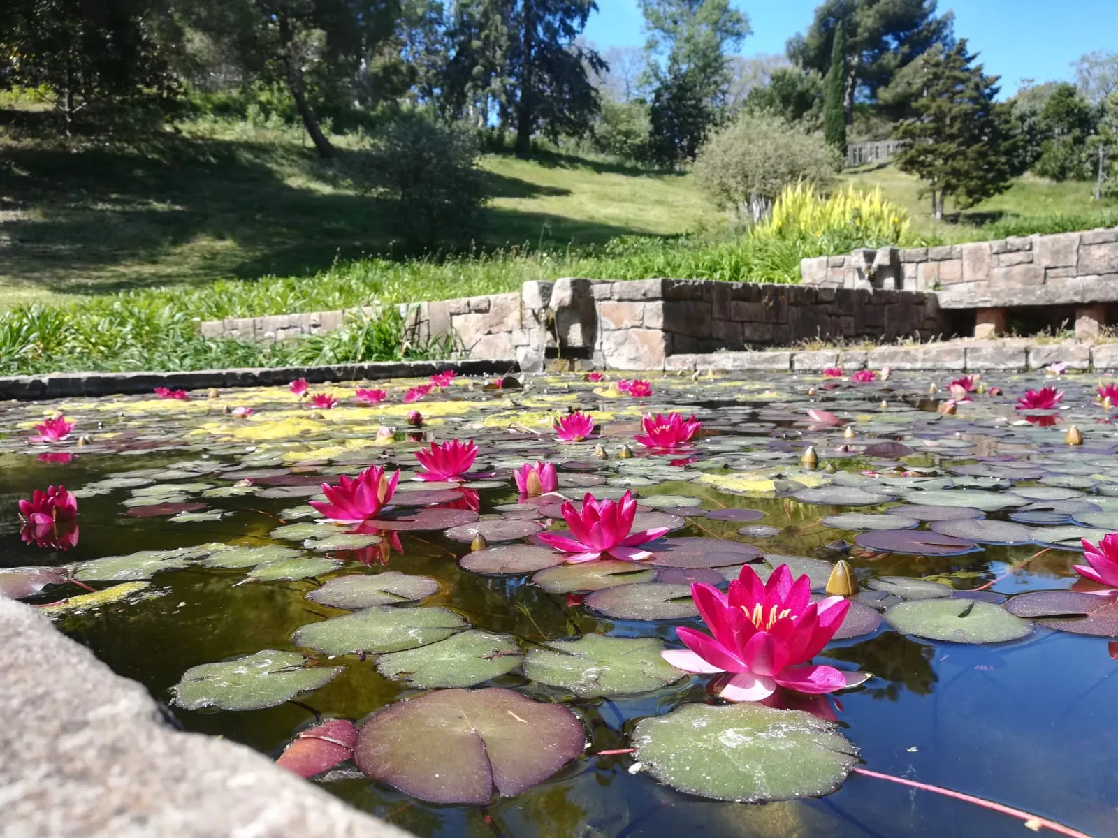Gure Txokoa Yoga Elkartea — yoga-studio en Amorebieta — 2