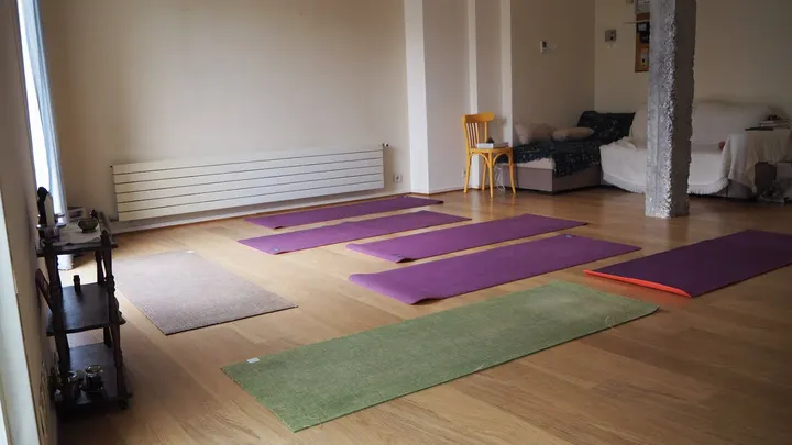 Gentle Warrior Yoga, Meditation & Massage — yoga-studio à Villeurbanne — 4