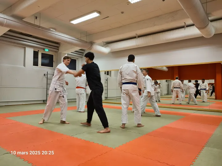 Martial Arts Luleå — kampsport-studio i Luleå — 4