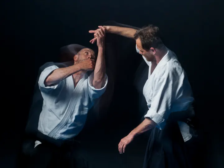 Aikido Groene Hart — vechtsport-studio in Snel en Polanen, Woerden — 2