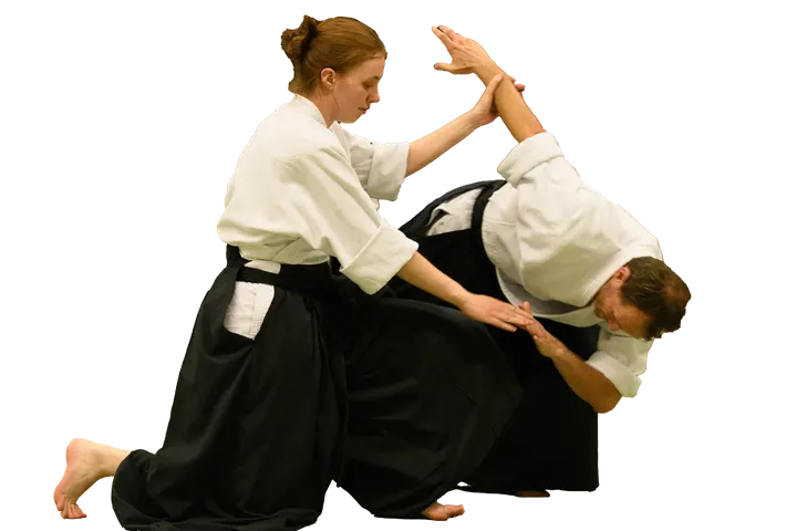Aikido Groene Hart — Vechtsport in Snel en Polanen, Woerden
