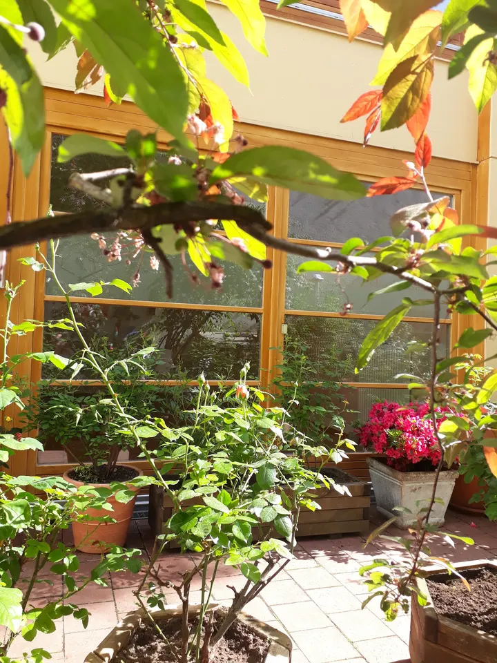 yogastudio ahimsa — yoga-studio in Maxvorstadt, München — 2