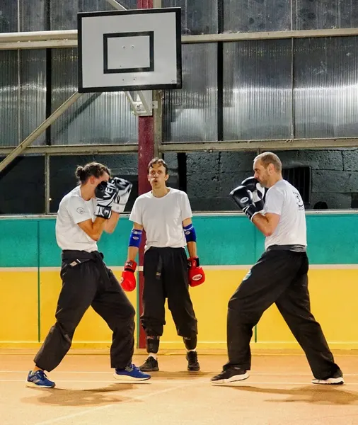 Ecole Nord-Valdoisienne de Krav Maga — arts martiaux-studio à Franconville, Paris — 2
