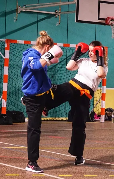 Ecole Nord-Valdoisienne de Krav Maga — arts martiaux-studio à Franconville, Paris — 3