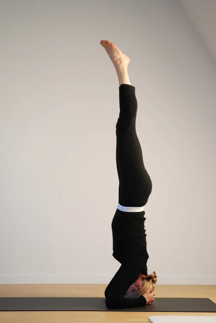 LIVINGYOGA DÜSSELDORF Yogaschule Brigitte Wollenhaupt — yoga-studio in Düsseldorf — 5