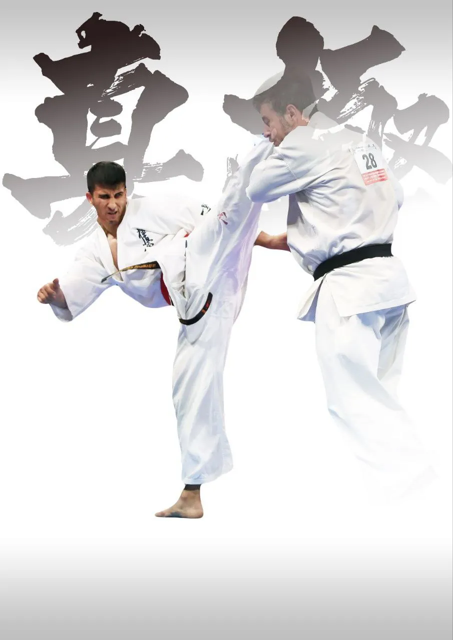 Navid Dojo - Navid Nazar — kickboxning-studio i Köln — 2