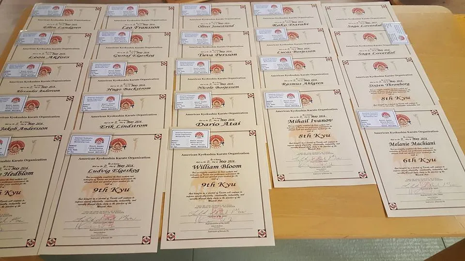 Mölndals Kyokushin Karate klubb — kampsport-studio i Solängen, Mölndal — bild 3