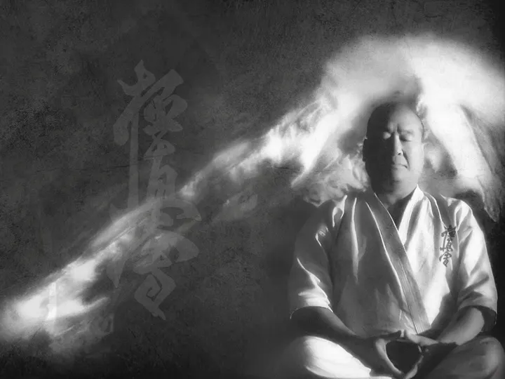 Mölndals Kyokushin Karate klubb — kampsport-studio i Göteborg — 4