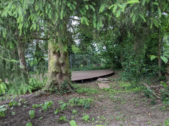 Celebrate Yoga — yoga-studio in Leichlingen (Rheinland), Köln — 3