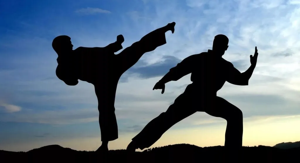 Sika Shotokan Karate Kampf Kunst Verein e.V. — kampfsport-studio in Düsseldorf — 3