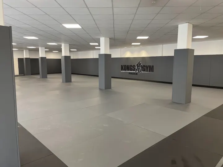 Kong’s Gym Pforzheim — mma-studio in Buckenberg, Pforzheim — 2