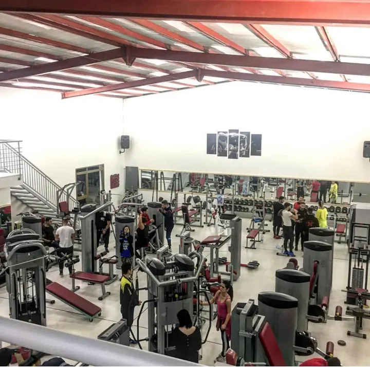 Palestra Body Center — palestre-studio a Polistena — 3