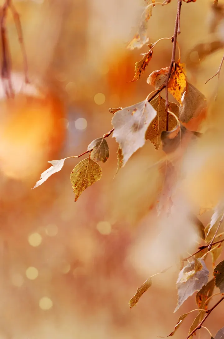Sat Mantra Yoga — yoga-studio in Hamm-Mitte, Hamm — 2
