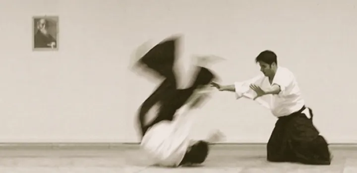 Aikido Dojo Potsdam Babelsberg — Martial Arts in Babelsberg Süd, Potsdam